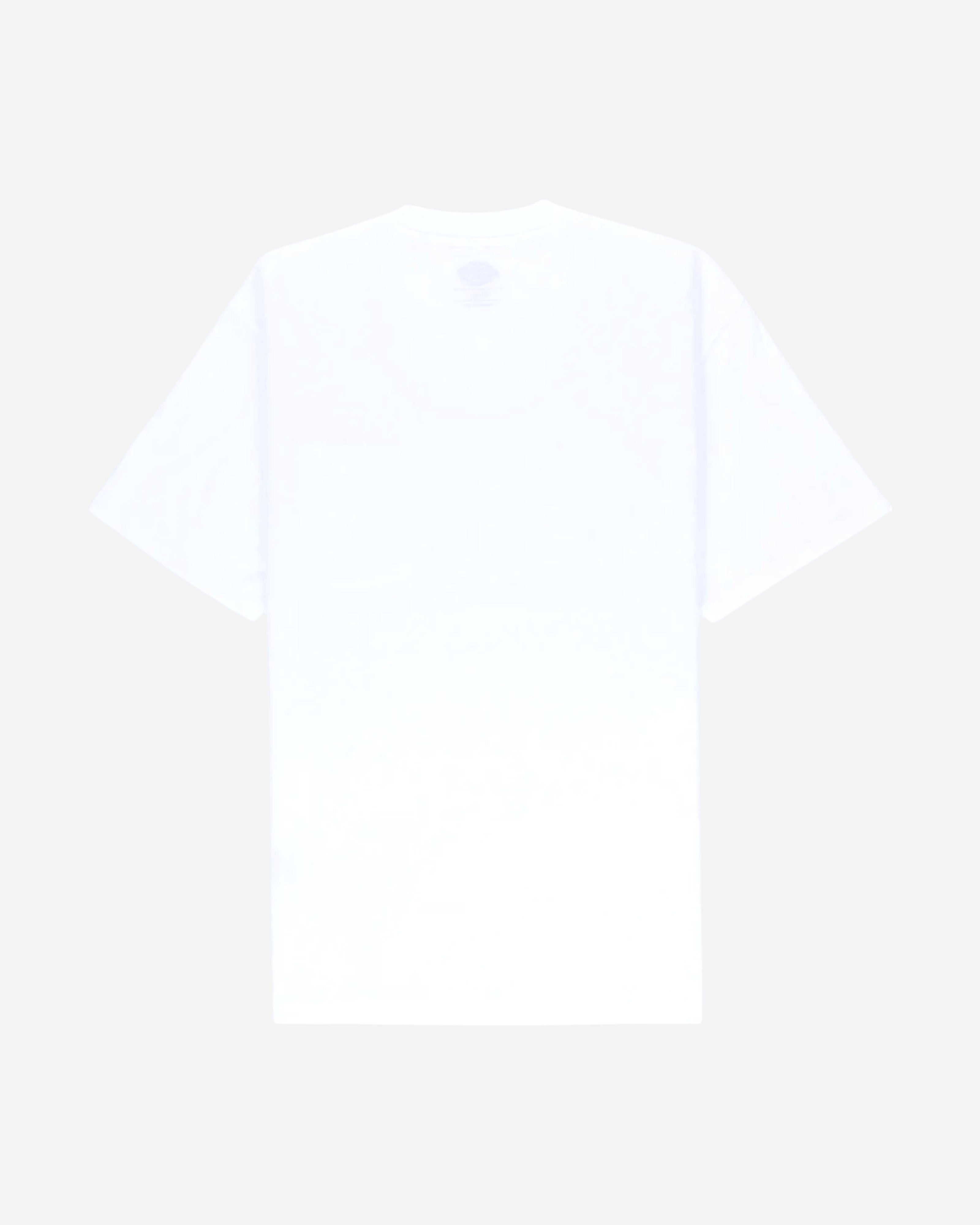Dickies Luray Pocket T-shirt White