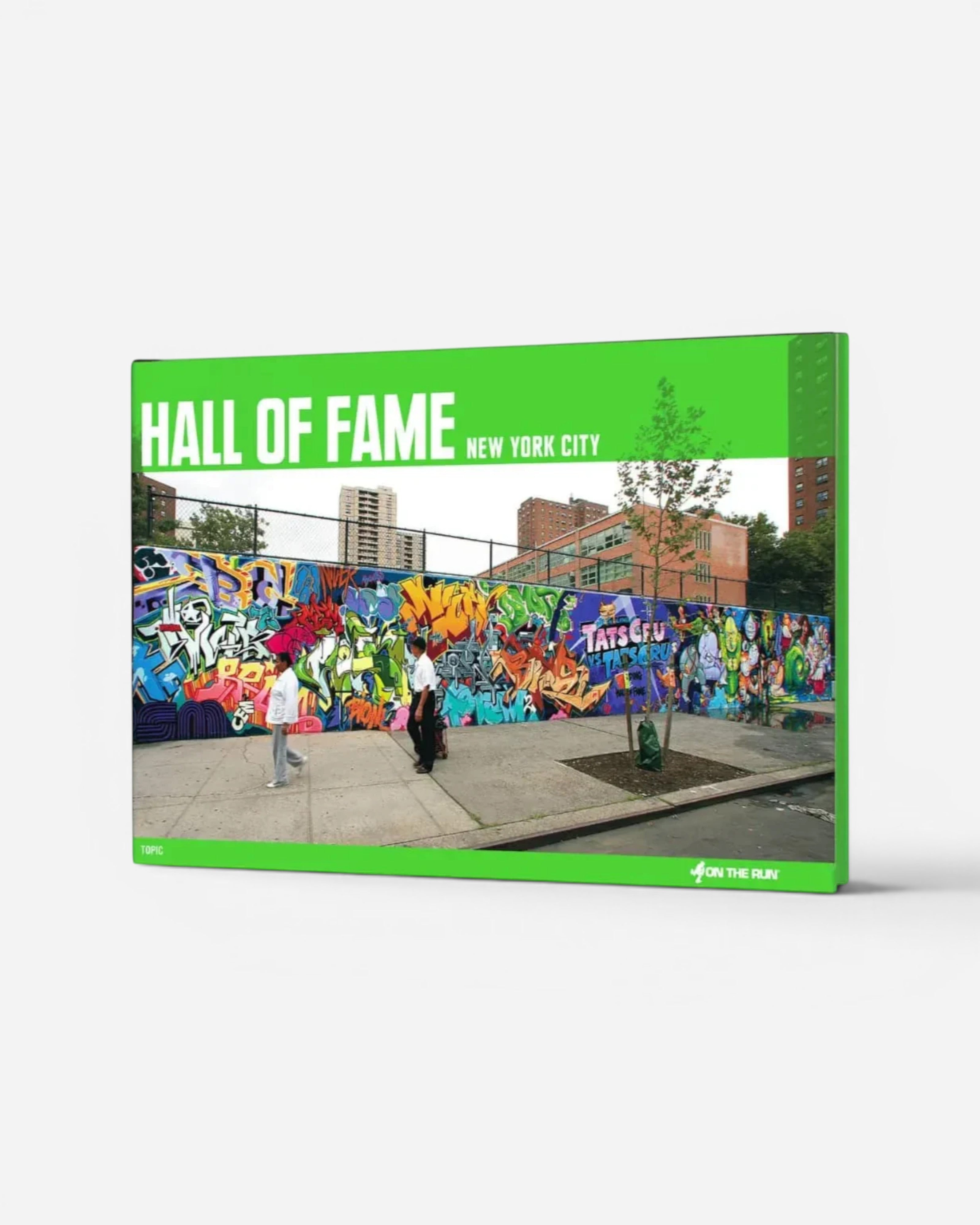 Astrofat HALL OF FAME New York City softcover book featuring vibrant graffiti art on a wall. English text, 224 pages.