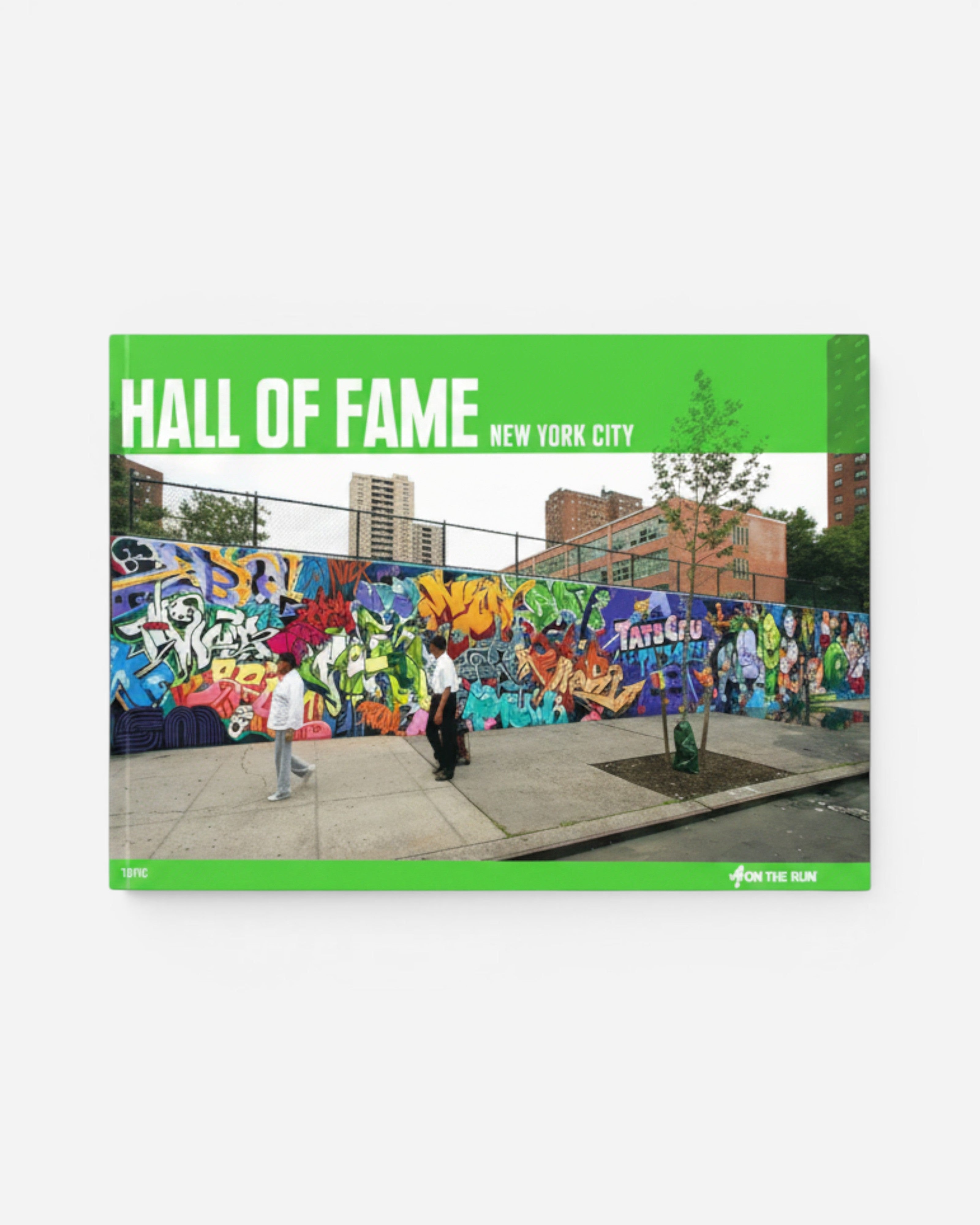 Astrofat Hall of Fame New York City book cover featuring vibrant graffiti art and two people walking by.