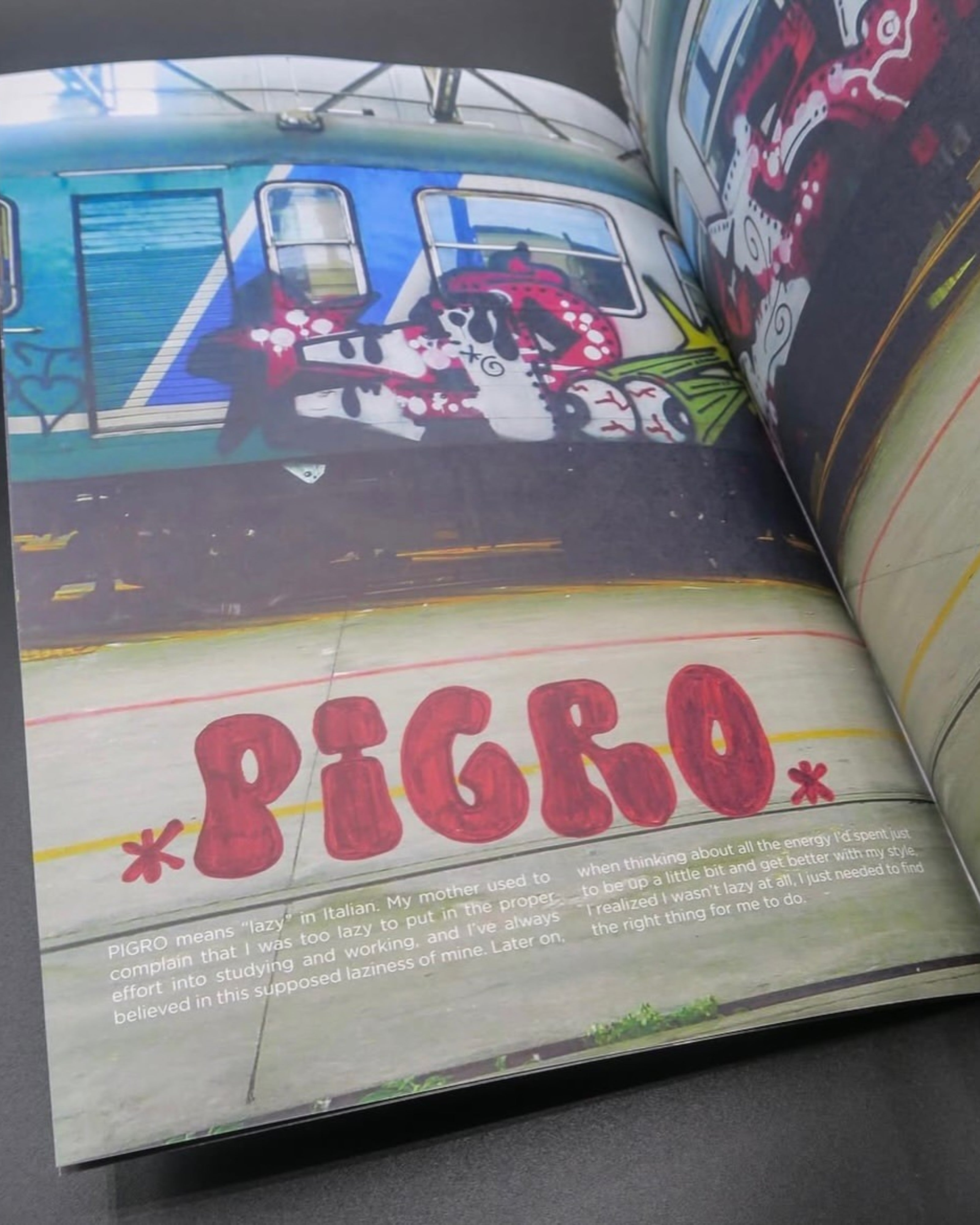 Astrofat Reincarnations book open to a page featuring graffiti art on a train and the word PIGRO in red lettering.