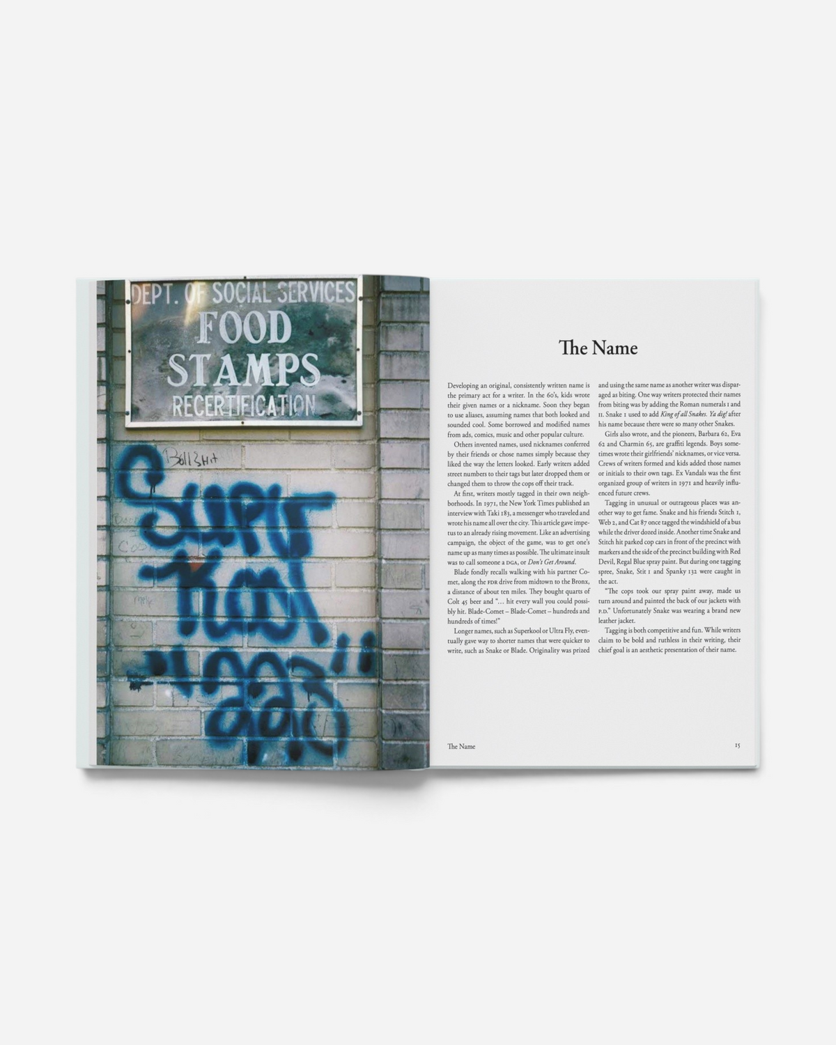 Astrofat Tag Town book open to a page showing a blue graffiti tag on a wall next to text about graffiti history