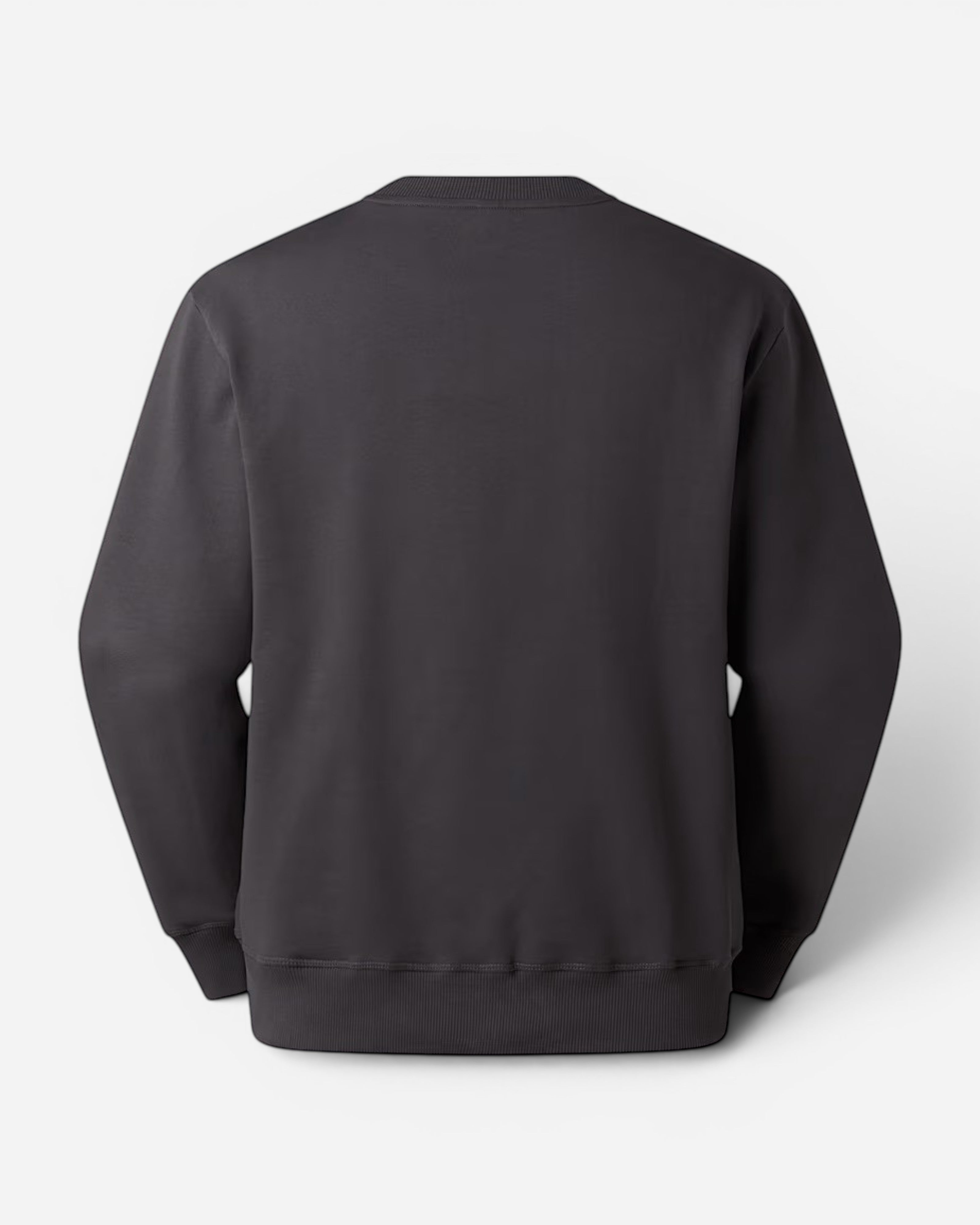 Astrofat The North Face anthracite grey cotton crewneck sweatshirt, back view with ribbed cuffs and hem.
