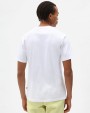 DICKIES - Mapleton Tshirt White